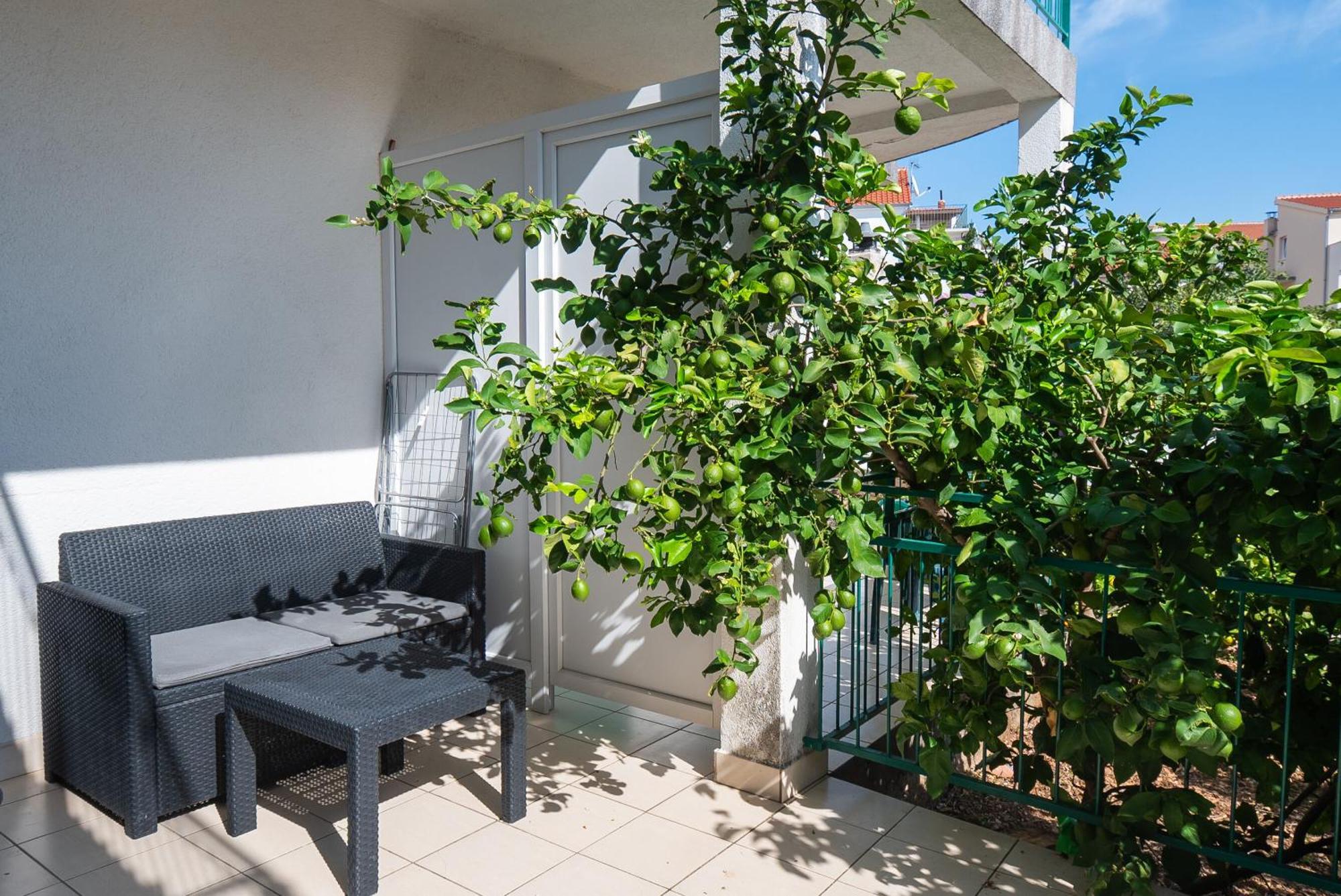 Apartments Polly Primošten المظهر الخارجي الصورة